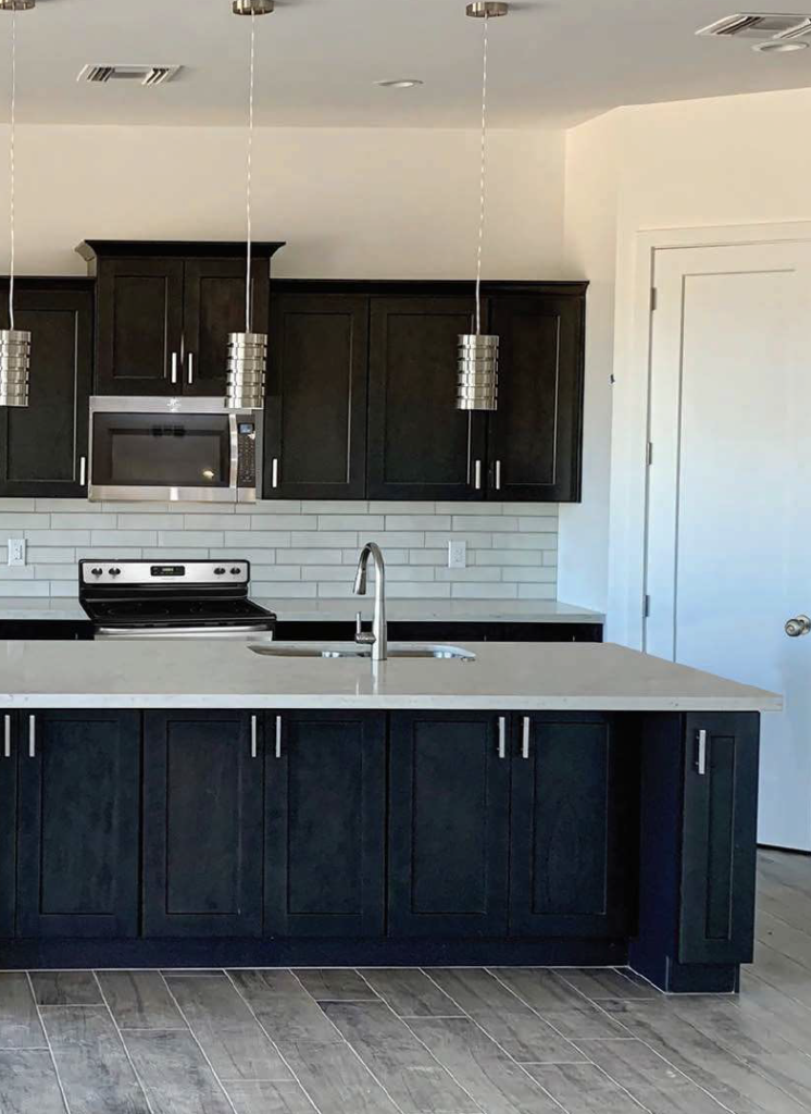 Modern Black Shaker Framed RTA Kitchen Cabinets